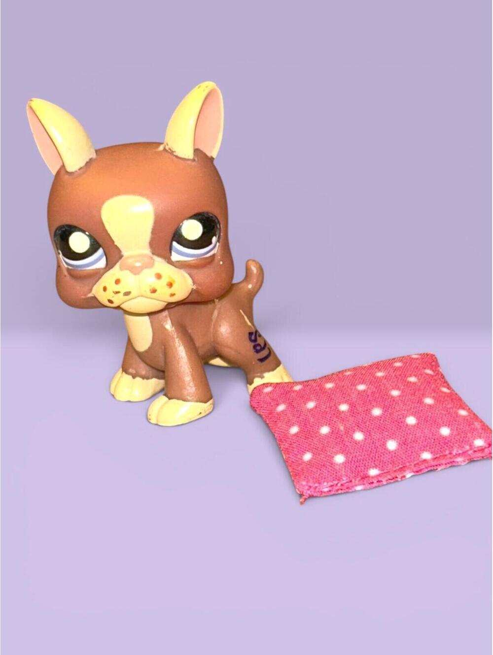 Littlest Pet Shop LPS Boston Terrier #1789 with Pillow Accessory